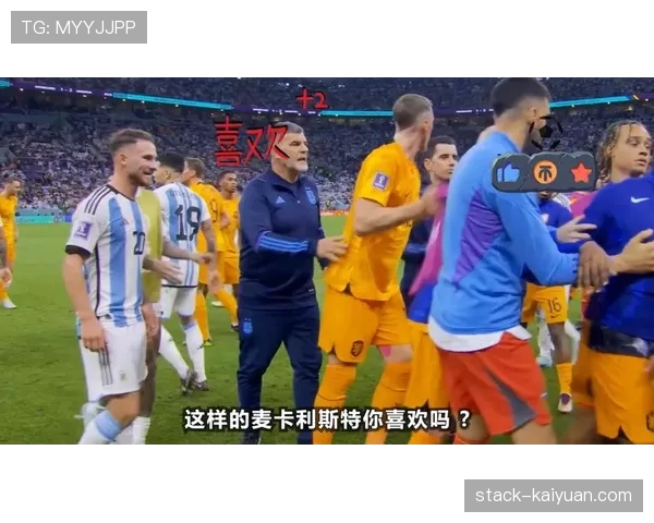 恩佐与麦卡利斯特世界杯中场角色分工及战术影响力解析